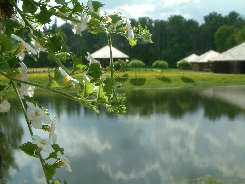Recreation Center Bruveri Sigulda Quarto foto